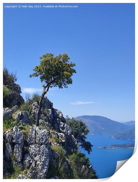 A tree on a mountain over looking dalyan in Turkey  Print by Pelin Bay