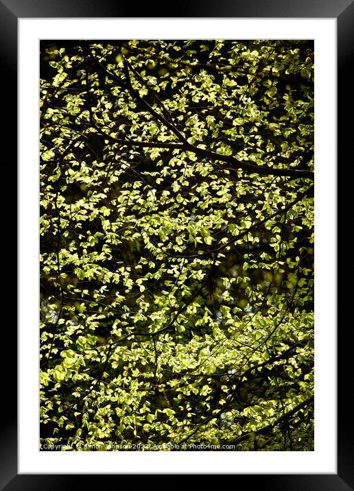 spring leaves Framed Mounted Print by Simon Johnson