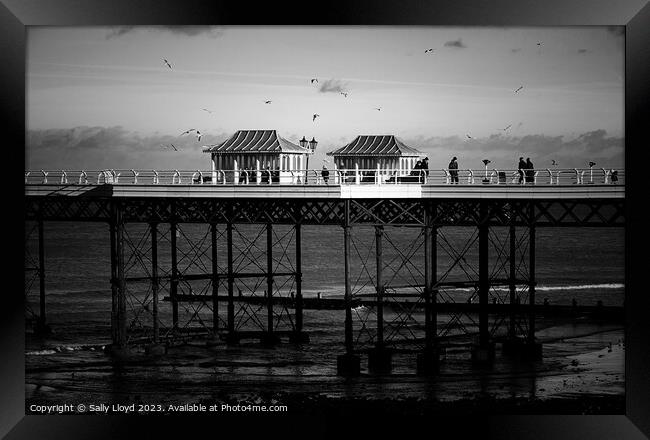 Cromer Pier a moody mono view  Framed Print by Sally Lloyd