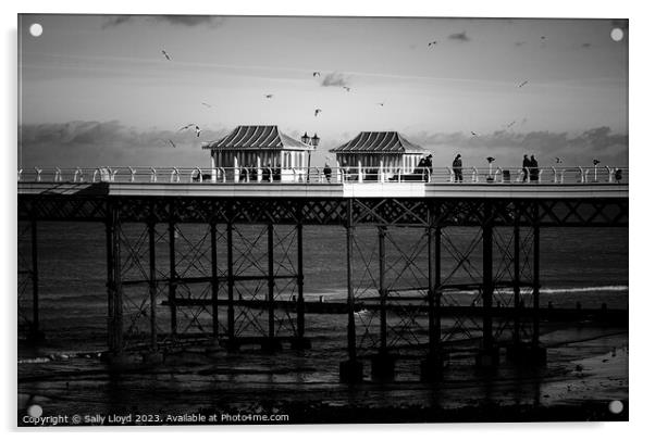 Cromer Pier a moody mono view  Acrylic by Sally Lloyd