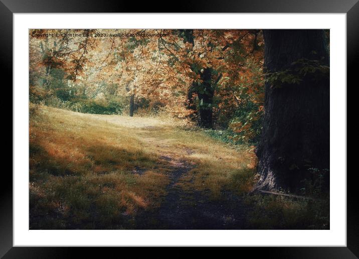 Walk In To Sunshine Framed Mounted Print by Christine Lake