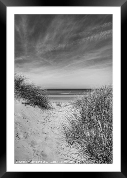 Through the Dunes at Holkham Beach, Norfolk Framed Mounted Print by Sally Lloyd