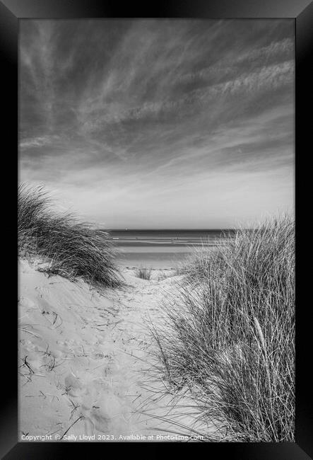 Through the Dunes at Holkham Beach, Norfolk Framed Print by Sally Lloyd