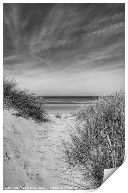 Through the Dunes at Holkham Beach, Norfolk Print by Sally Lloyd