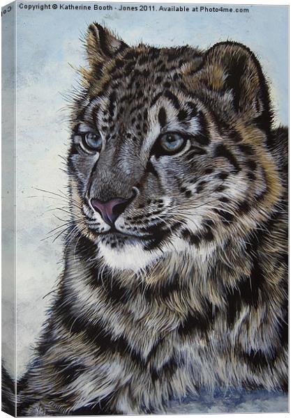 Snow Leopard Canvas Print by Katherine Booth - Jones