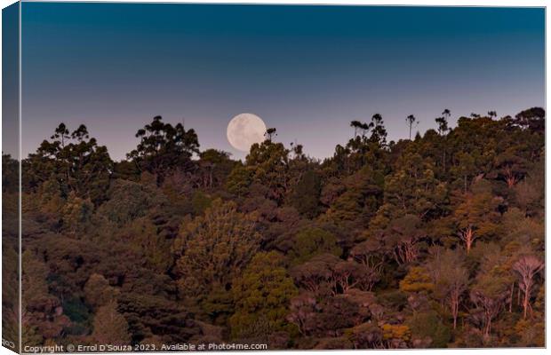 Moonrise over Matapouri Bay Canvas Print by Errol D'Souza