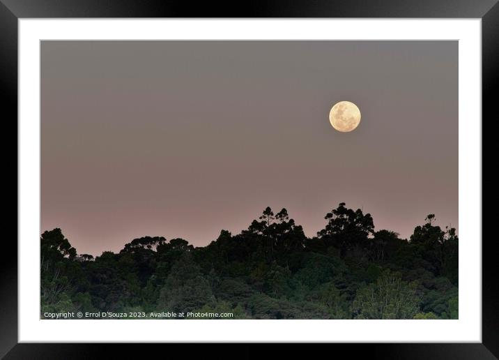 Moonrise over Matapouri Bay Framed Mounted Print by Errol D'Souza