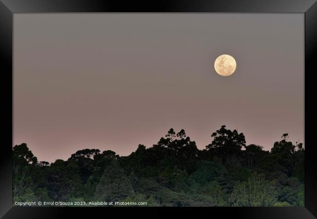 Moonrise over Matapouri Bay Framed Print by Errol D'Souza
