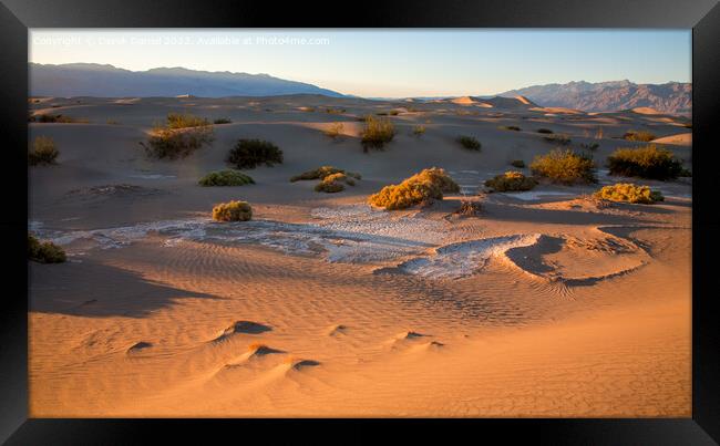 Serene Sand Dunes at Sunset Framed Print by Derek Daniel