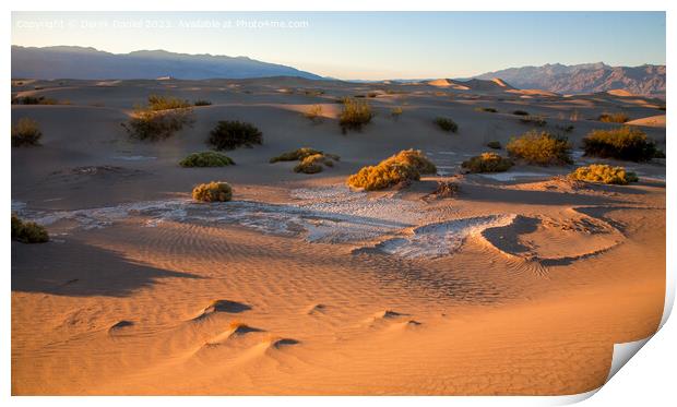 Serene Sand Dunes at Sunset Print by Derek Daniel