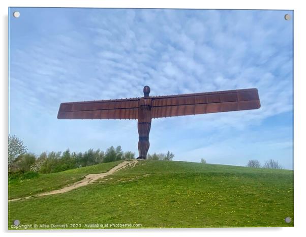 The Angel of the North Acrylic by Ailsa Darragh