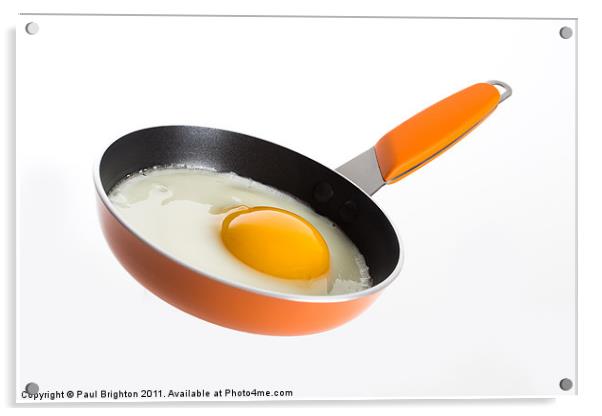 Fried Egg in Frying Pan Acrylic by Paul Brighton