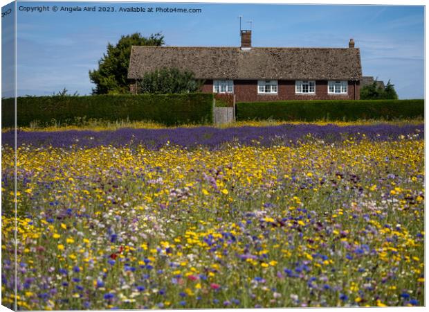 Flower Meadow. Canvas Print by Angela Aird