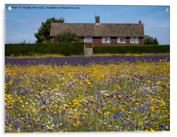 Flower Meadow. Acrylic by Angela Aird