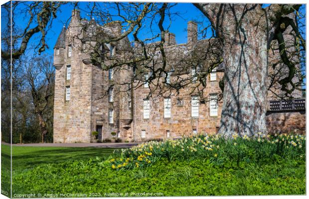 Daffodils at Kellie Castle, East Neuk of Fife Canvas Print by Angus McComiskey