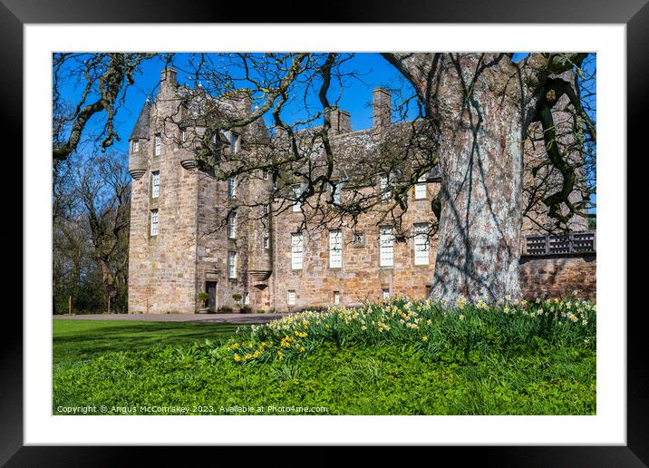 Daffodils at Kellie Castle, East Neuk of Fife Framed Mounted Print by Angus McComiskey