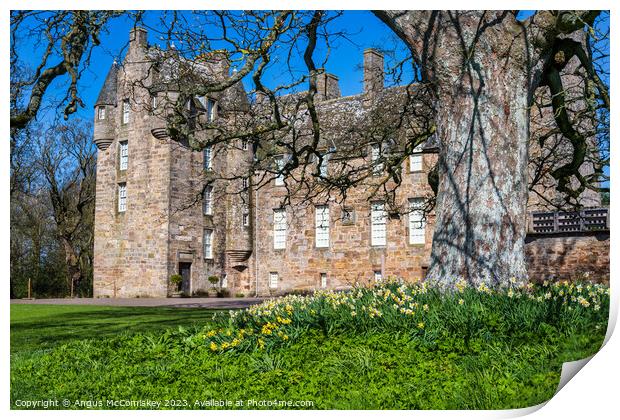 Daffodils at Kellie Castle, East Neuk of Fife Print by Angus McComiskey