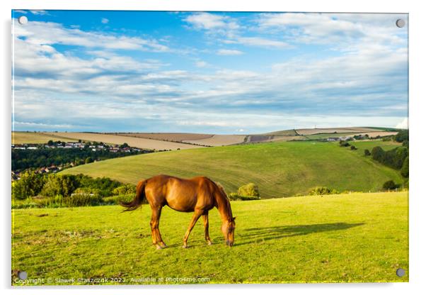 Summer on the South Downs Acrylic by Slawek Staszczuk