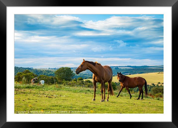 Horses grazing on the South Downs Framed Mounted Print by Slawek Staszczuk