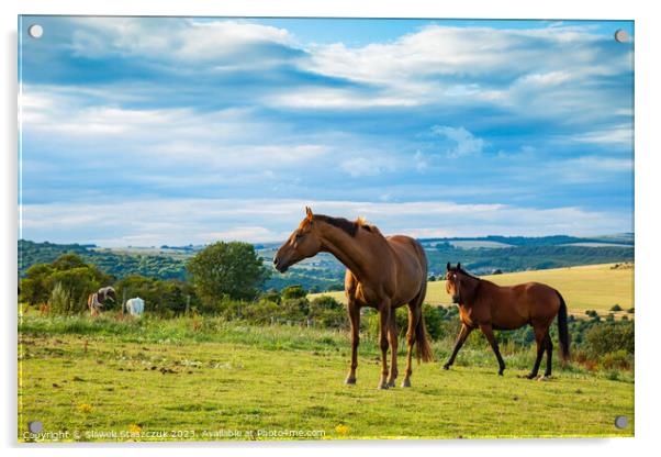 Horses grazing on the South Downs Acrylic by Slawek Staszczuk