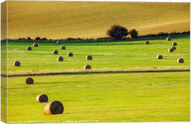 Harvest on the South Downs Canvas Print by Slawek Staszczuk