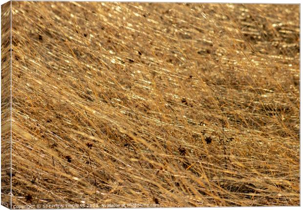 Spinning Straw Into Gold Canvas Print by STEPHEN THOMAS