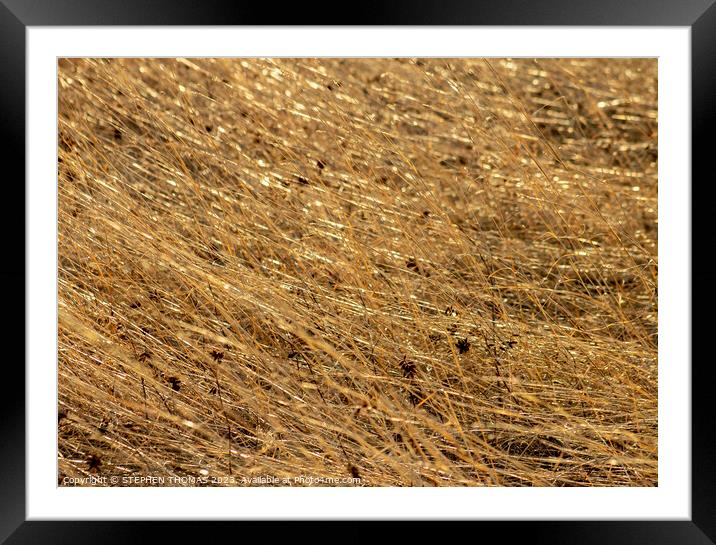 Spinning Straw Into Gold Framed Mounted Print by STEPHEN THOMAS