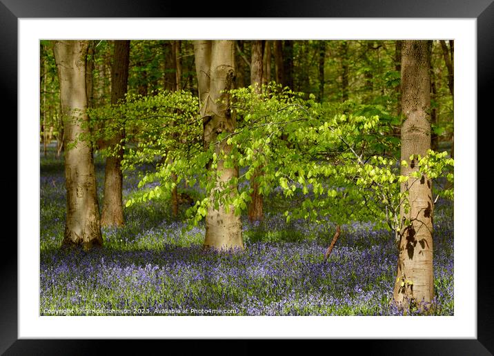 wind blown tree and bluebells Framed Mounted Print by Simon Johnson