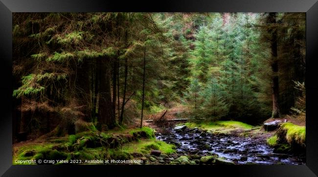 Snake Woodland Hope Valley Peak District. Framed Print by Craig Yates