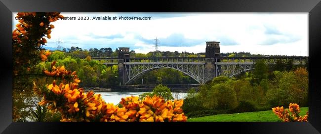  Britannia Bridge Anglesey  Framed Print by Mark Chesters