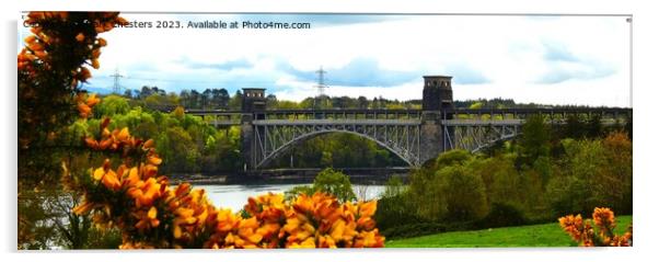  Britannia Bridge Anglesey  Acrylic by Mark Chesters