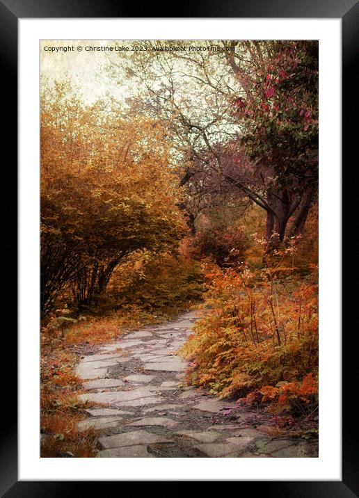 Shades Of Autumn Framed Mounted Print by Christine Lake
