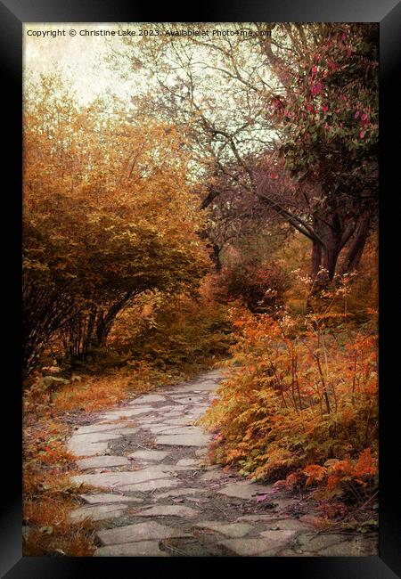 Shades Of Autumn Framed Print by Christine Lake