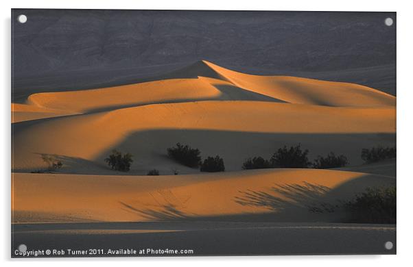 Death Valley Light Acrylic by Rob Turner