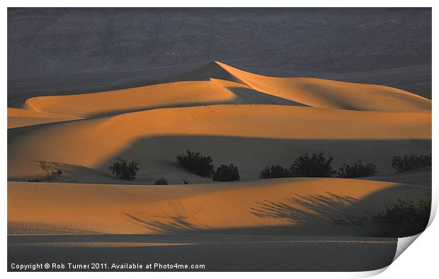 Death Valley Light Print by Rob Turner