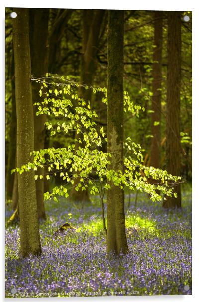 sunlit tree and bluebells Acrylic by Simon Johnson