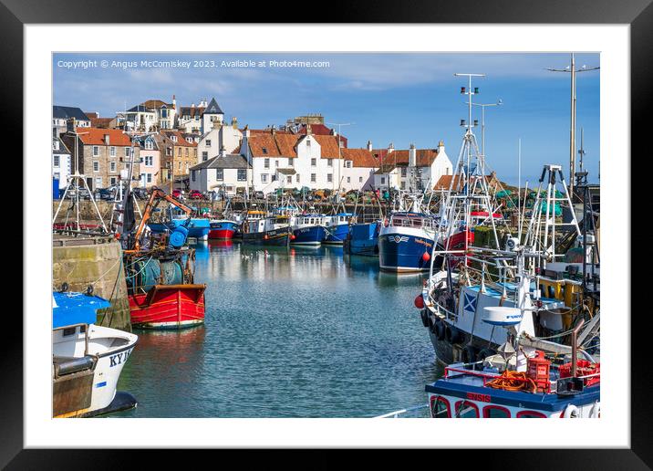 Fishing fleet tied up in Pittenweem harbour Framed Mounted Print by Angus McComiskey