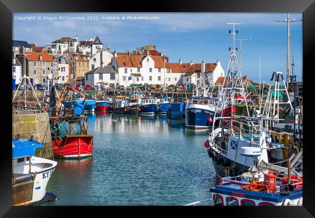 Fishing fleet tied up in Pittenweem harbour Framed Print by Angus McComiskey