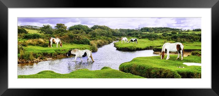 Bodmin Moor Ponies Cornwall Panoramic Framed Mounted Print by Diana Mower