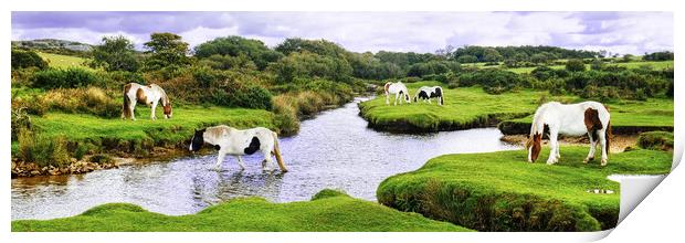 Bodmin Moor Ponies Cornwall Panoramic Print by Diana Mower