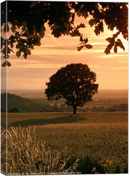 A tree with a sunset in the background Canvas Print by Jon Saiss