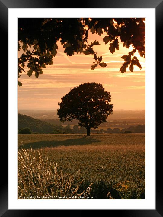 A tree with a sunset in the background Framed Mounted Print by Jon Saiss