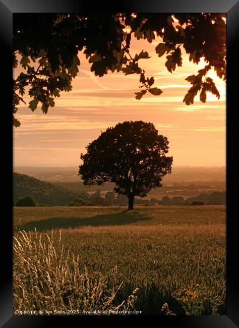 A tree with a sunset in the background Framed Print by Jon Saiss