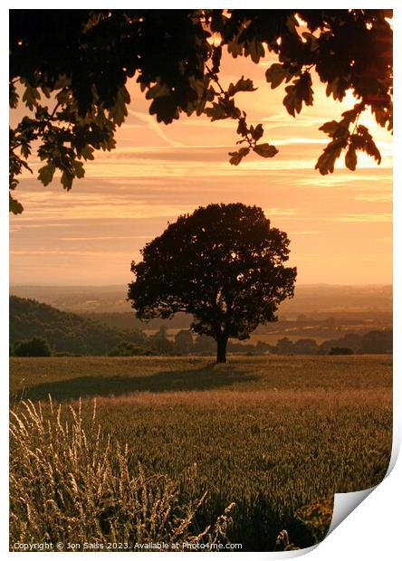 A tree with a sunset in the background Print by Jon Saiss