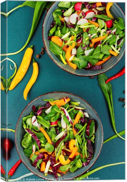Vegetable vitamin salad with wild garlic Canvas Print by Mykola Lunov Mykola