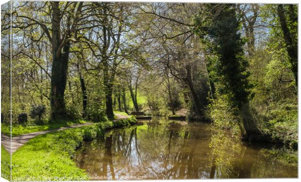 Serenity on Monmouthshire and Brecon Canal Canvas Print by Pearl Bucknall