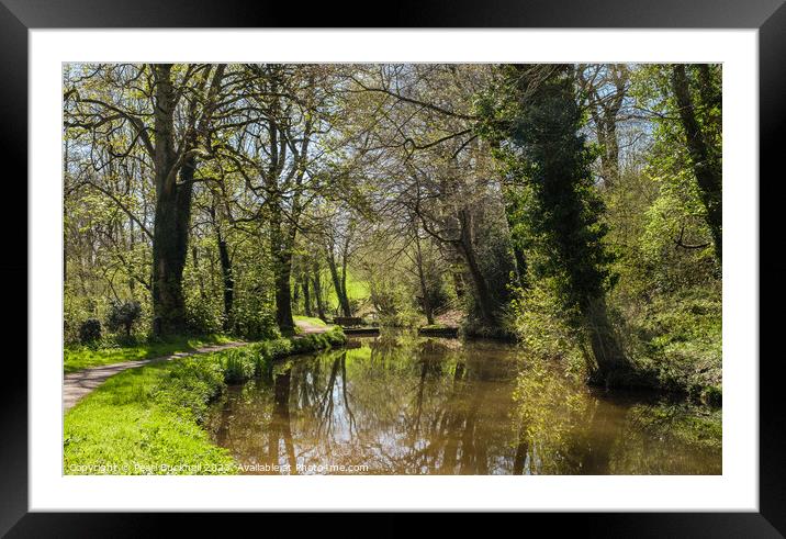 Serenity on Monmouthshire and Brecon Canal Framed Mounted Print by Pearl Bucknall