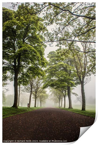 Misty Morning in Roundhay Park- Leeds Print by Richard Perks