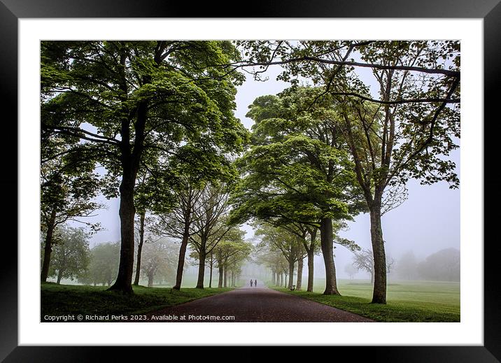 Roundhay Park avenue of Trees Framed Mounted Print by Richard Perks