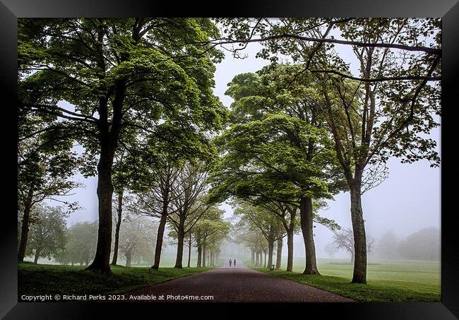 Roundhay Park avenue of Trees Framed Print by Richard Perks